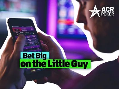 What Is an Underdog Bet? A Beginner’s Guide
